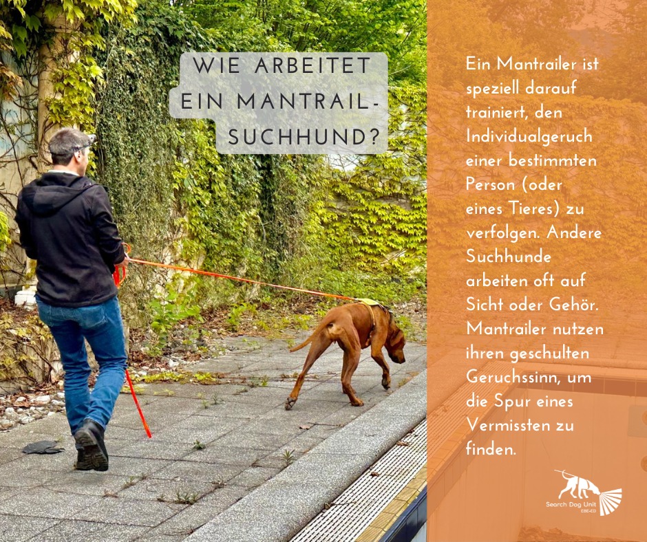 Wie arbeitet ein Mantrail-Suchhund